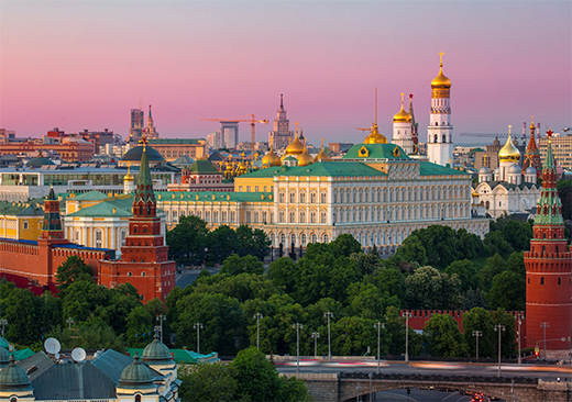 Visite du Kremlin de Moscou